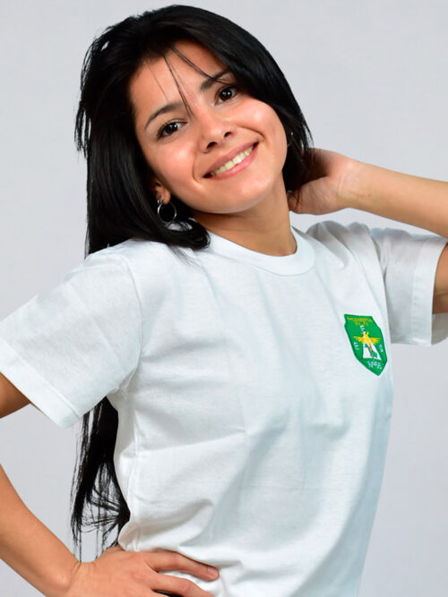 Remera EES N° 66 Comercio 7 Manga Corta con Bordado Institucional