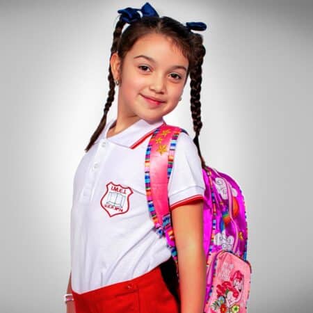 Chomba Manga Corta Colegio IMEI con Bordado Oficial y Vivos de Color