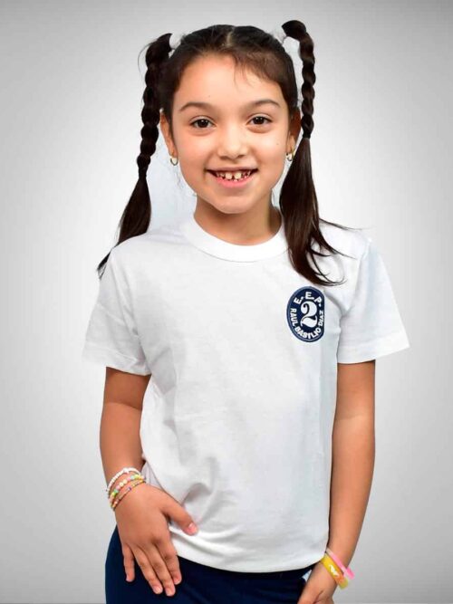 Remera Manga Corta Escuela Raúl Basilio Díaz con Bordado Oficial