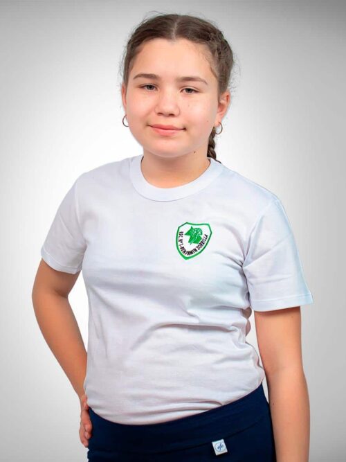 Remera Manga Corta con Bordado Colegio Benjamín Zorrilla