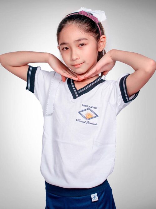 Remera Manga Corta Primario Escuela Normal Sarmiento con Bordado Oficial