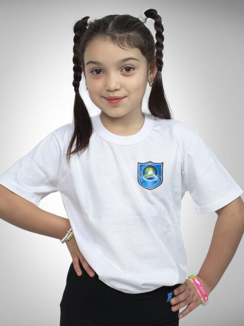 Remera EEP N° 33 Manga Corta con Bordado Institucional