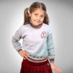 Buzo Frisado Colegio Leloir - Gris con Bordado Oficial