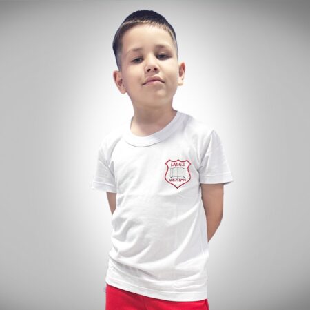 Remera Manga Corta Instituto IMEI con Bordado Institucional