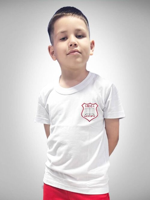 Remera Manga Corta Instituto IMEI con Bordado Institucional
