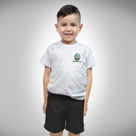 Remera Manga Corta Colegio Orígenes con logo Bordado